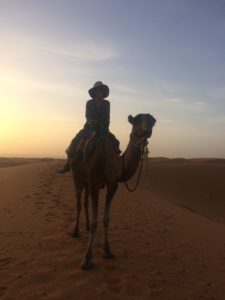 The Camel at Sunrise